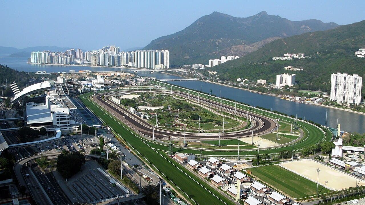 沙田馬場 实景