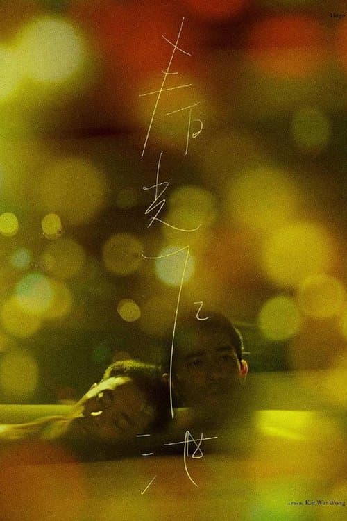 春光乍洩 海报