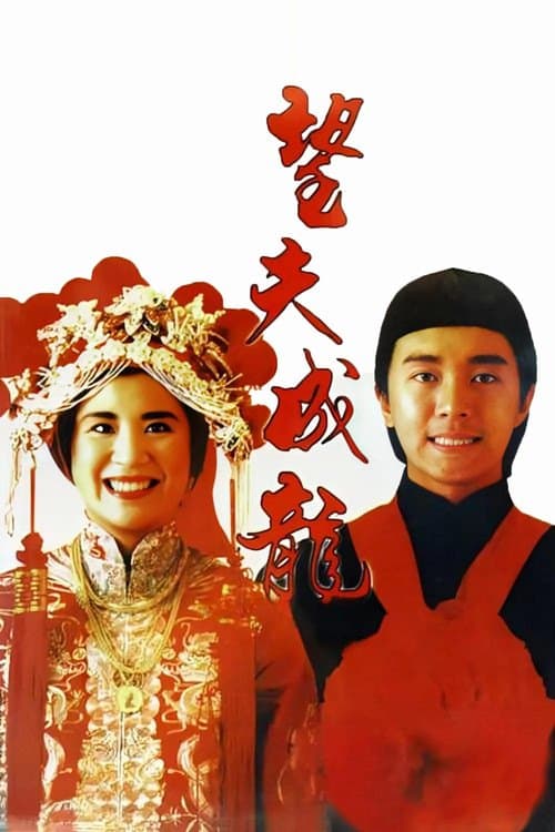 望夫成龍 海报